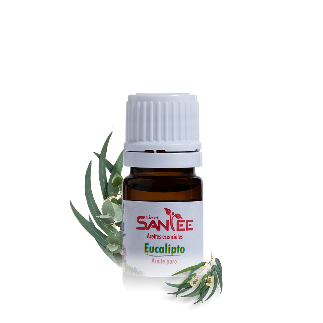 Aceite Puro de Eucalipto 6ml- Previene malestares respiratorios.