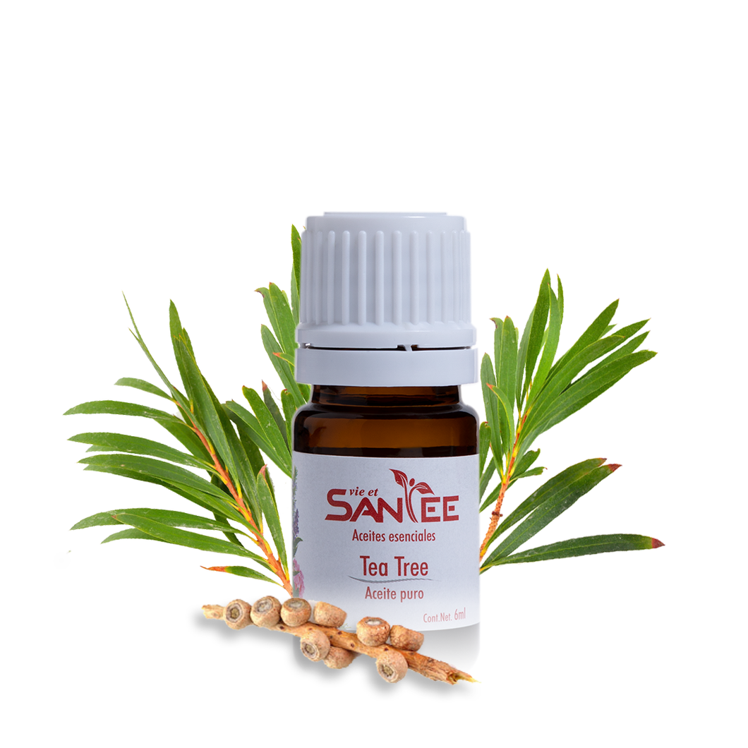 Aceite Puro de Tea Tree 6ml-  Previene infecciones y regenera la piel.